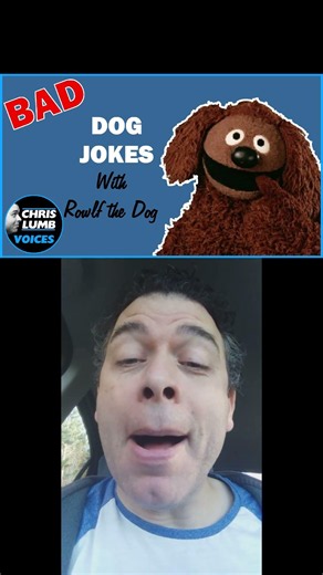 Bad Dog Jokes with Rowlf The Dog ! #comedy #impression #rowlf #muppets #jokes