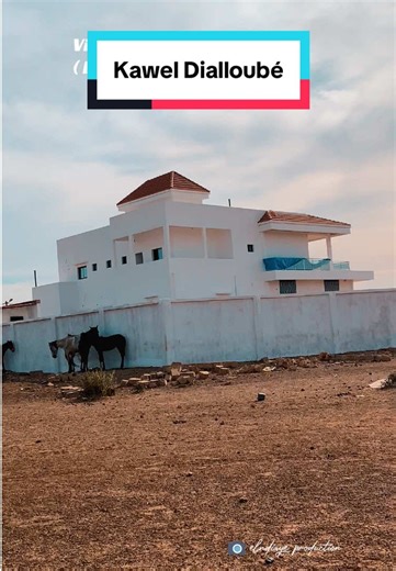 Image prise au village de Kawel Dialloubé , à proximité de Thiehel Sébé ( Padé ) et Mody Boula #senegalaise_tik_tok🇸🇳pourtoichallenge #poulagou❤🇲🇱🇲🇷🇸🇳🇬🇳🇬🇭 #fouta #senegal