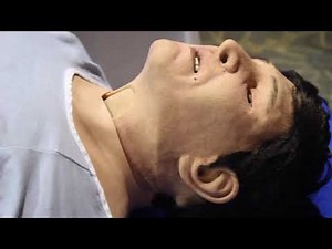 CAE Apollo by CAE Healthcare