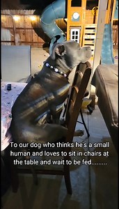 85K views · 9.5K reactions | There will always be an open seat for...