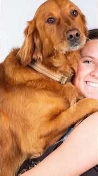 He Saved My Life: Meet Herc the Hero 🐾