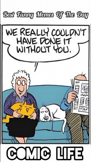 Pickles comics Love #shorts #funny #comedy #humor #jokes