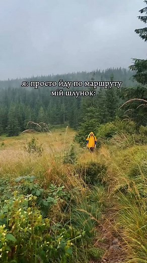 12 reactions · 45 comments |  @den.pechenyuk #ukraine #ukraine_blog #travelphotography #ukraine #mountains #карпати #mountaineering #ukrainenature #мандри #carpathian_mountains #україна #гори #природа #карпати #україна | Den.Pechenyuk | Facebook