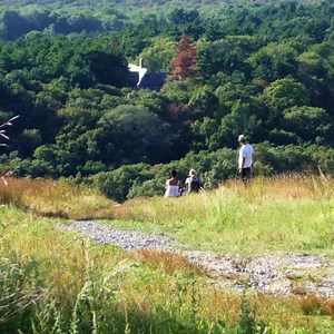 So many stunning views and miles of enjoyable trails... you will learn all about this amazing park by downloading the free Blue Hills guide. | Friends of the Blue Hills