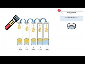 Complement titration test