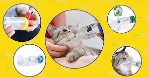 Best Cat Inhaler Masks For Asthma in 2026: Ultimate Comparison | Technomeow