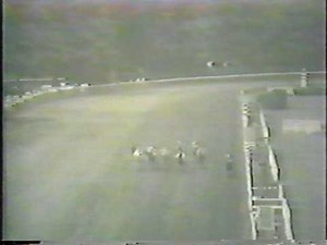 Counterpoint - 1952 Whitney Handicap