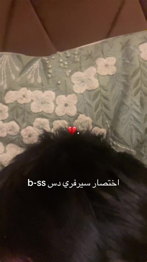 #fyp #paratiiiiiiiiiiiiiiiiiiiiiiiiiiiiiii #pktiktokofficial #bdtiktokofficial #pov الي مايجي سيرفري دس بعضه