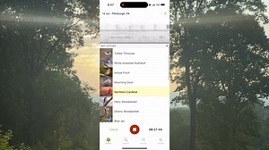 5.5K views · 204 reactions | So many of you suggested I download the...