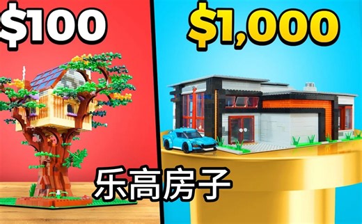 用100美元和1000美元比赛拼房子！