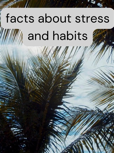 Stress Relief Techniques for a Stress-Free Life