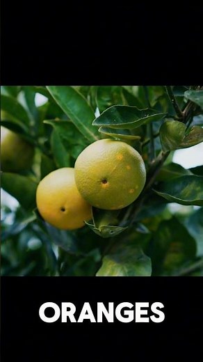 Did you know oranges were originally green? 🍊🤯