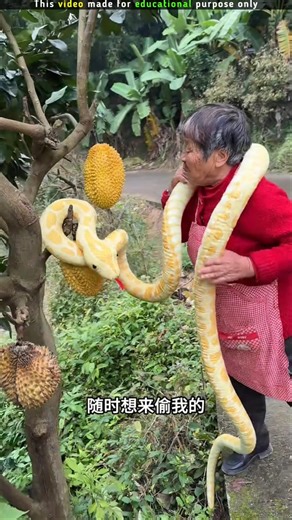 Grandma's Jackfruit🥵Part-2|New Viral Gadgets, Smart Appliances, Kitchen Utensils/ Home Inventions