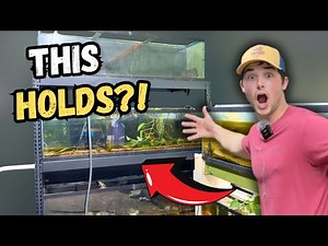 I Risked Stacking 3 Massive Fish Tanks on One Rack…