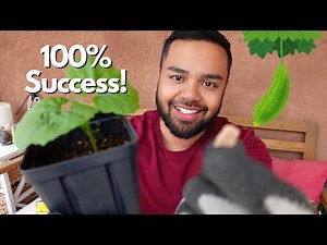 Ultimate Gourd Growing Guide: From Seed to Plant!