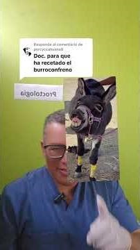doctor para que es el BURROCONFRENO #alpaca #humormemes #humor #grasioso #medico