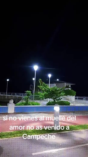 Videos de proreyes (@1981proreyes) con “En El Muelle de San Blas - Maná”