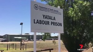 Bradley Daniele has asked whether the community would rather have a child sex predator or a bikie on the streets.