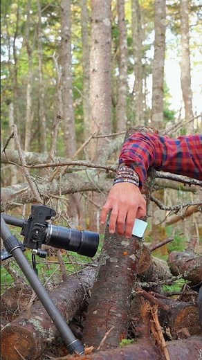 Fall Macro Mushroom Photography in the Rain, 2 Easy Hacks & Tips!