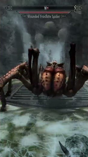 so I'm scared of spiders | Skyrim