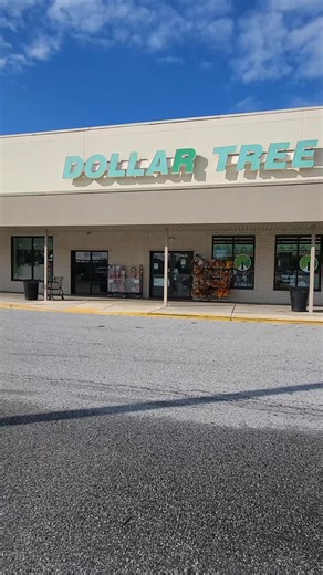 Grab these at Dollar Tree for this DIY Decor idea #diyideas #craftideas #thediystruggle #dollartree #dollartreediy