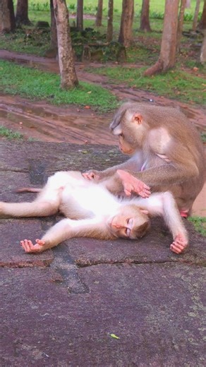 Leo with his mom Libby | Real Monkey's Life.