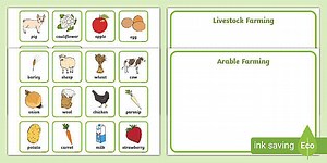 Types of Farming Sorting Mat