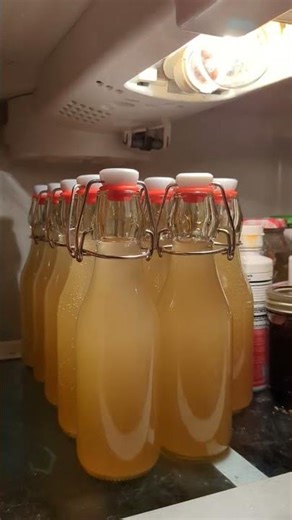 homemade medicinal absinthe