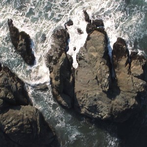 The Book of Mormon testifies of Jesus Christ and teaches us how to follow Him. Take a journey into the wilderness and across the ocean to a new promised land in the Book of Mormon Videos, coming later this month. Subscribe at YouTube.com/BookofMormonVideos for new videos every week. #BookofMormon | The Book of Mormon: Another Testament of Jesus Christ