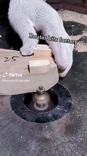 #router #routerbit #woodproject #fyp #carpentry #woodworking #woodproducts #woodworkingproject #wood #tool