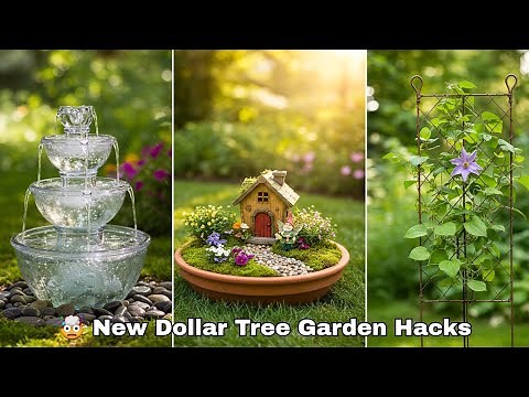 🏡 15 Genius New Dollar Tree Garden Hacks That Look Like Designer Decor!