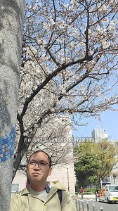 Magkano ba talaga ang kailangan para makapag-Japan? 樂 To know more, join our group for more tips: https://www.facebook.com/groups/japandiytraveltips #JapanTravel #BudgetJapan #JapanTripTips #TravelSmart #DIYJapan #Soral | Soral | Facebook