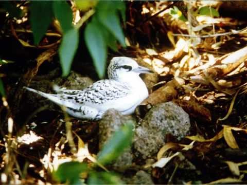 Going back to the Seychelles