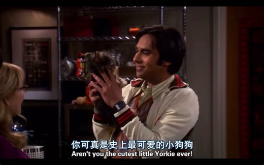 【TBBT】拉杰爱犬小肉桂登场，一人一狗的腻歪生活现在开始