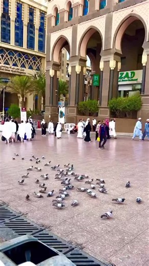 Discover Madinah: A Spiritual Journey in the City of Faith