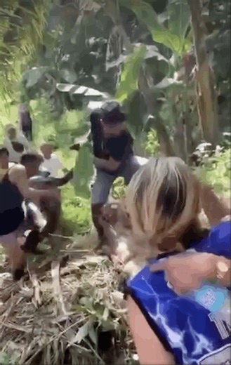 Missing pet python rescued at side of hill in San Fernando, Cebu