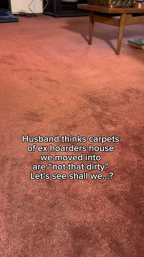 39K reactions · 407 shares | Husband thinks carpets of ex hoarders house we moved into are not that dirty…. Let’s see shall we?! #carpetcleaning #deepcleaning #asmrcleaning | Quick’n Brite All Purpose Cleaner | Facebook