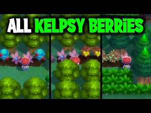 ALL KELPSY BERRY LOCATIONS ON POKEMON BRILLIANT DIAMOND AND SHINING PEARL