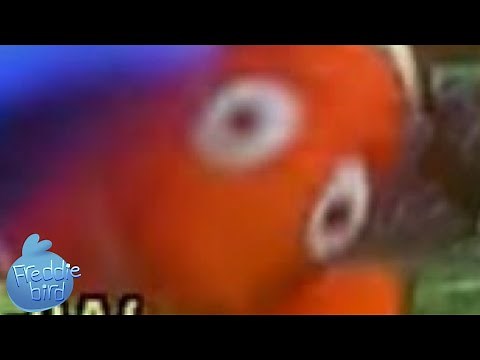 That one joke Marlin made in Finding Nemo