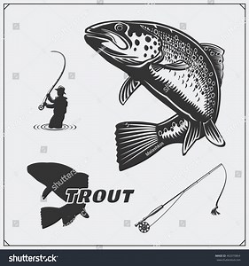 Vector Illustration Trout Fish Fishing Design Stock Vector (Royalty Free) 462070864 | Shutterstock