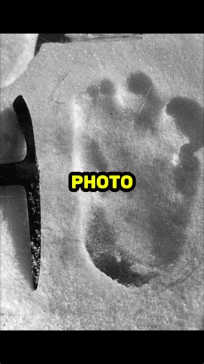 3.2K views · 67 reactions | Is the Yeti actually real? #yeti #cryptid #fblifestyle | Peculiar History | Facebook