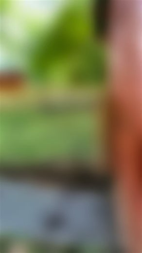 At A&K Quality Fencing, we don’t just build fences — we build protection, privacy, and peace of mind. 📞 Call us today for your free estimate: 336-307-4343 Residential & Commercial #ncfencecompany #thomasvillenc #winstonsalemnc #Fencing