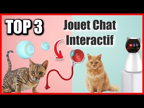 TOP 3: BEST INTERACTIVE CAT TOY 2024