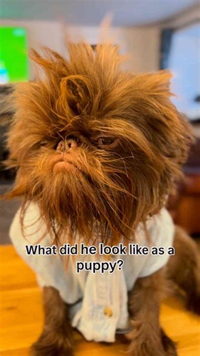 Did he just have a glow up, or was he always this iconic?