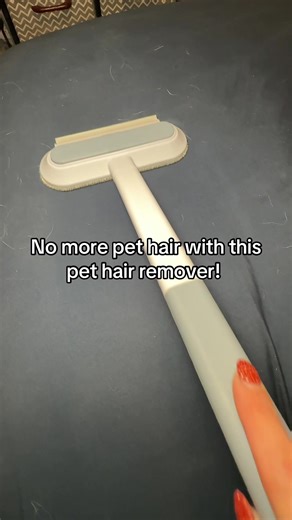 Effective Pet Hair Removal Tools for Dog Owners