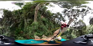 27K views · 382 reactions | Experience Flight of the Gibbon with our new Virtual Reality/360 Video Adventure. #Flightofthegibbon #Chiangmai #Bangkok #Pattaya #Thailand #Zipline #360video #Virtualreality #VR #Adventure #Experience | Flight of the Gibbon | Facebook