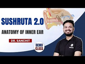Anatomy of Inner Ear | MBBS 3rd Year | SUSHRUTA 2.0 | Dr. Sanchit | PW MedEd