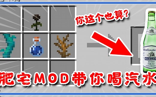 我的世界：MC里也能喝汽水？想象不到的快乐肥宅MOD！