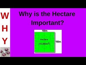 Relevance of the Hectare
