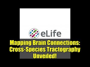 Mapping Brain Connections: Cross-Species Tractography Unveiled!